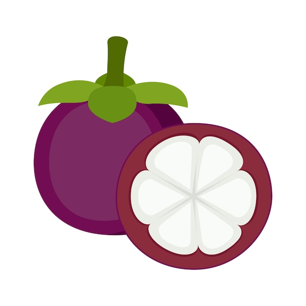 Mangosteen heel fruit en de helft op witte vectorillustratie als achtergrond