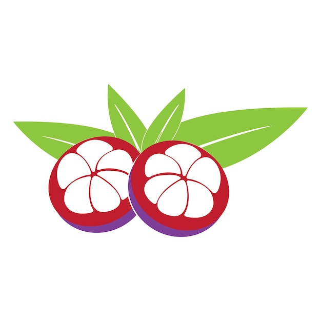 Mangosteen icon logo vector design template