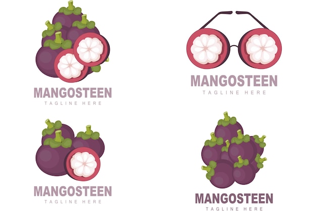 Mangosteen Logo Design Fresh Fruit Vector for Skin Health Fruit Shop Brand Illustration And Natura