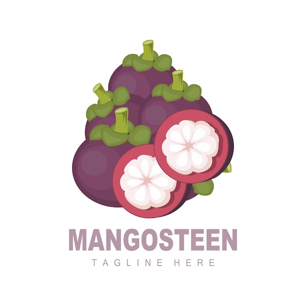 Mangosteen Logo Design Fresh Fruit Vector voor Skin Health Fruit Shop Merkillustratie en Natural Skin Medicine