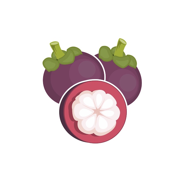 Mangosteen logo salute fruita design giardino agricoltore vettore simbolo elemento template