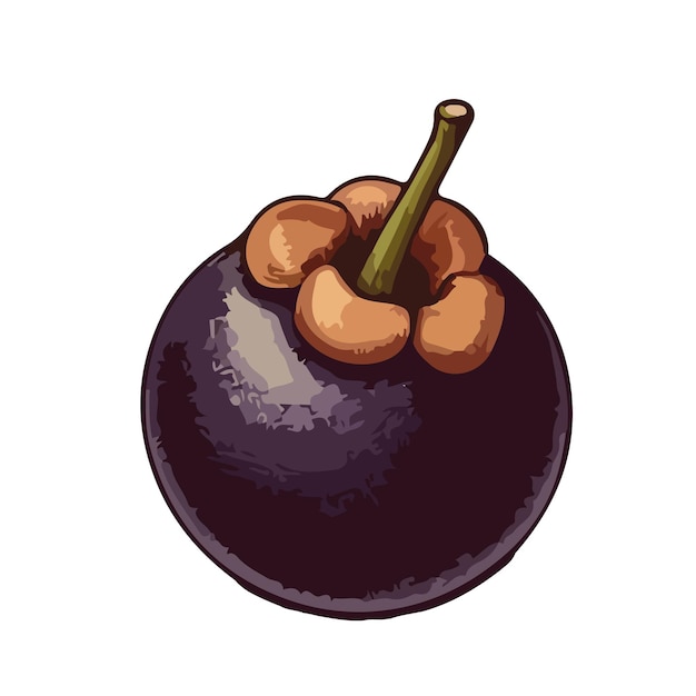 Vector mangosteen manggis ai gegenereerd beeld