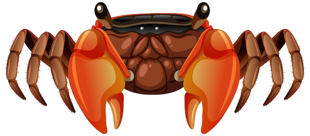 Mangrove root crab in cartoon style on white background