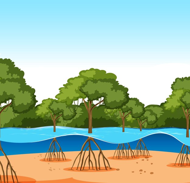 Vector mangrove trees by the calm waters