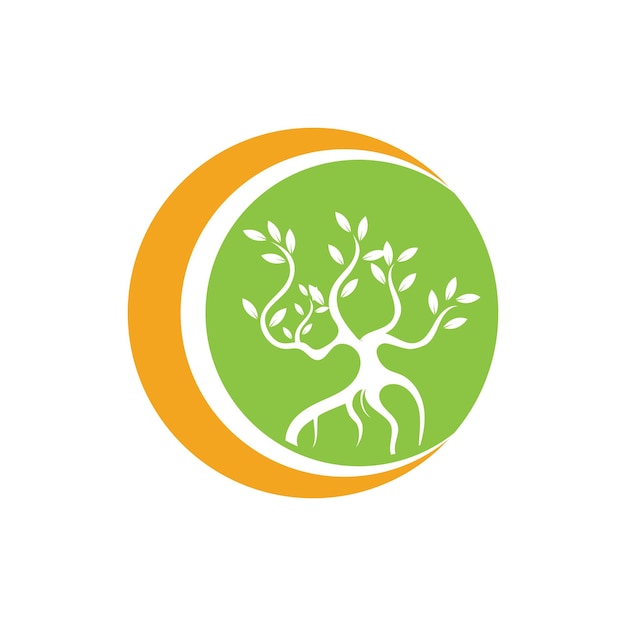 Vettore di progettazione del logo degli alberi e delle foreste di mangrovie