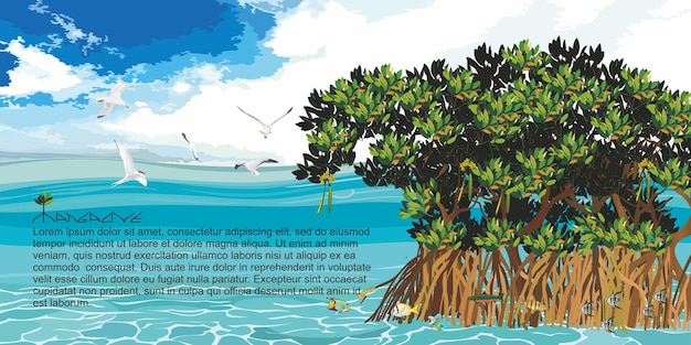Vettore alberi di mangrovie e habitat di animali marini