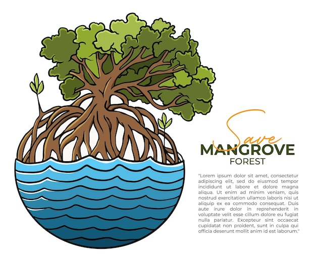 Vector mangrove trees on a white background