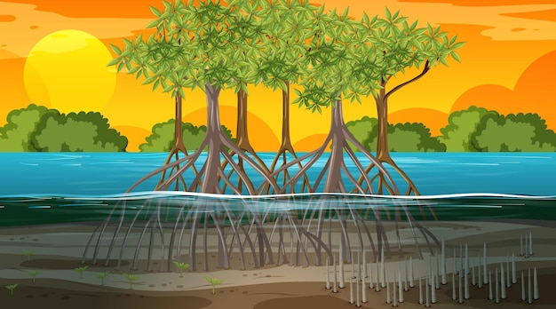 Vector mangroveboslandschapsscène bij zonsondergangtijd