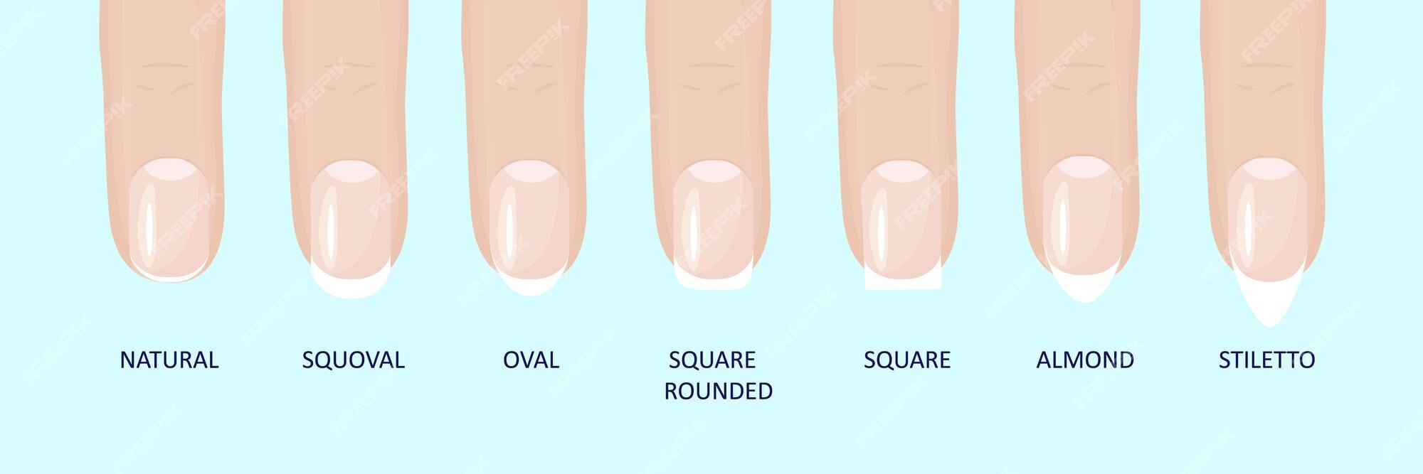 Premium Vector | Manicure most popular fashion nail shapes flat style  vector illustration set