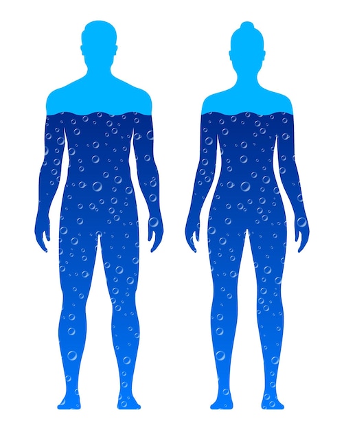 Mannelijk en vrouwelijk lichaam gevuld met blauwe water vectorillustratie geïsoleerd op een witte achtergrond