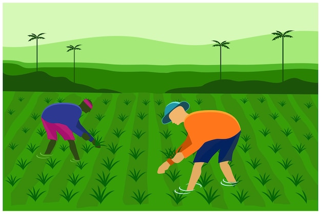 mannelijke boeren werken aan rijstveld Vectorbeelden