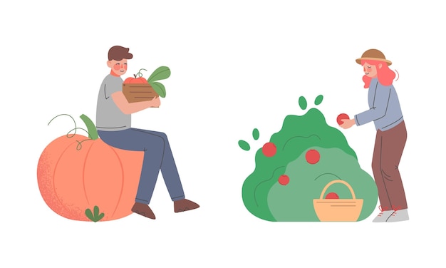 Mannelijke en vrouwelijke boeren die in de tuin werken en rijpe groenten verzamelen in een basket met vectoren