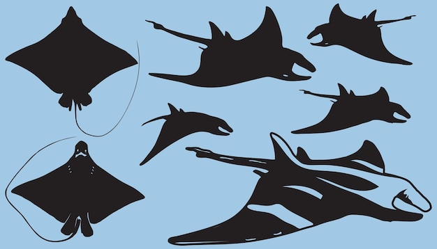 Vector manta ray adelaar roggen vis silhouet vector dieren van zee en oceaan water zwemmen met zwaaiende vinnen