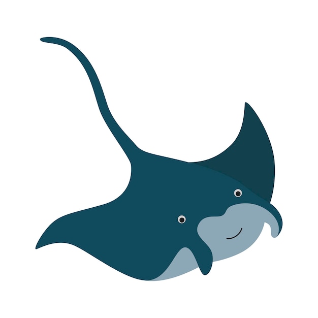 manta ray fish ocean