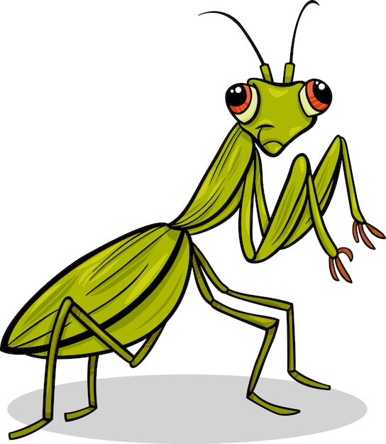 Mantis insect cartoon afbeelding