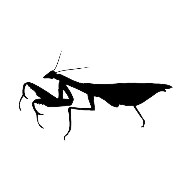 mantis silhouet set collectie geïsoleerd zwart op witte achtergrond vector illustratie