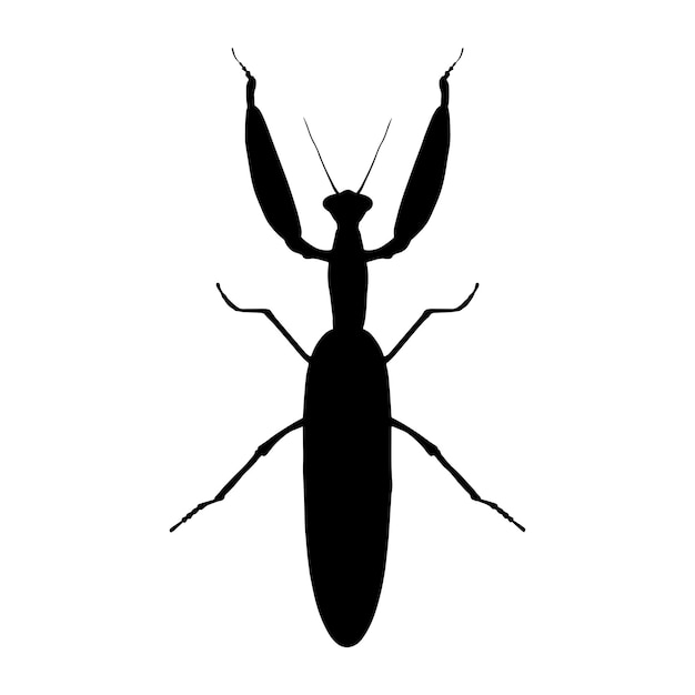 mantis silhouette set collection isolated black on white background vector illustration