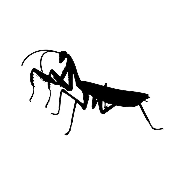 Mantis silhouette set collection isolated black on white background vector illustration