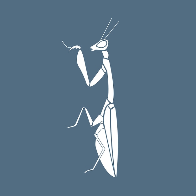 Vector mantis