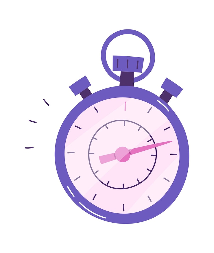 Vector manual mechanical timer