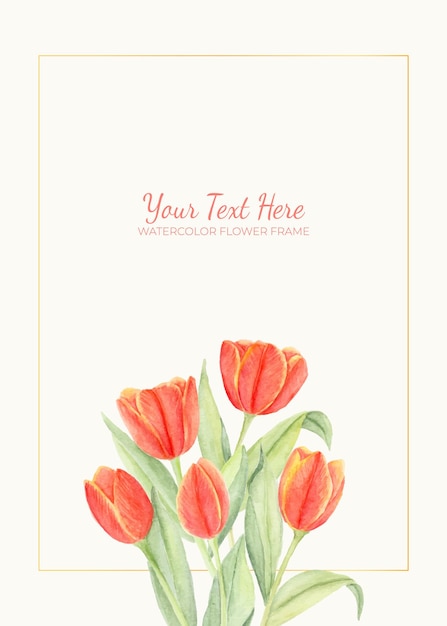 Vector manual painted of orange tulip flower watercolor as background frame