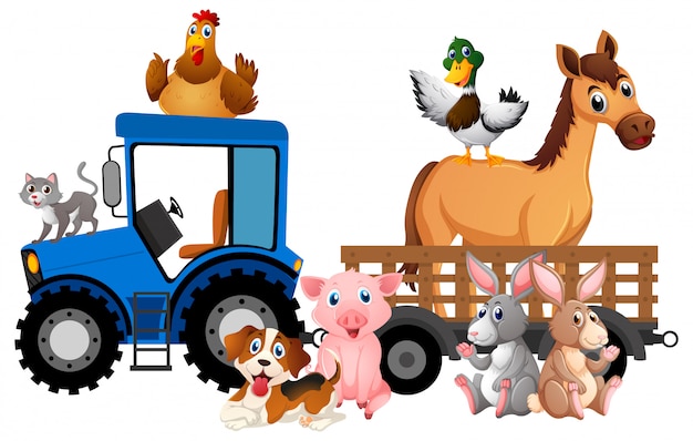 Many farm animals riding tractor on white