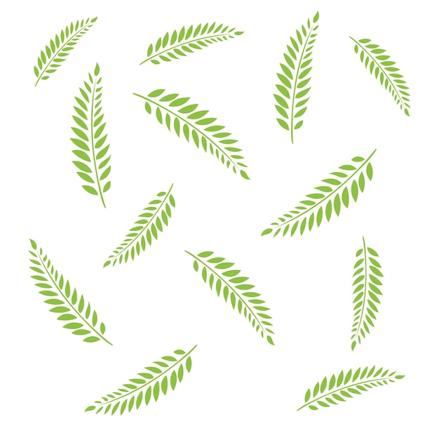 Много одинаковых зеленых листьев папоротника