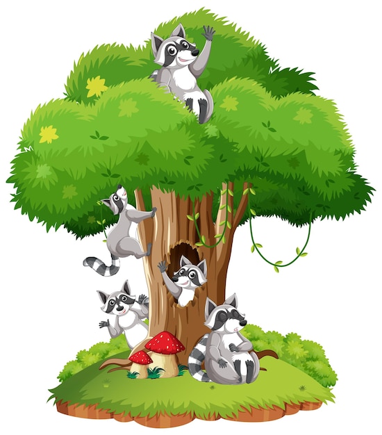 Many raccoons on the tree