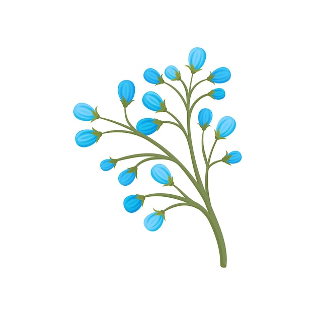 Vector many small blue buds on a branch vector illustration on white background