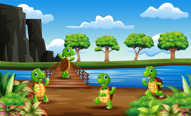 Many turtle across the wooden bridge