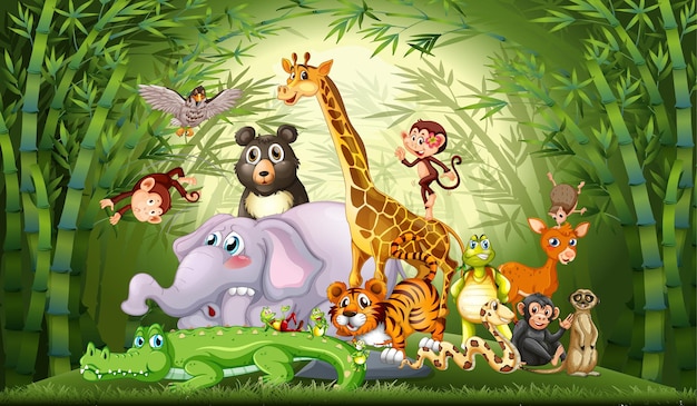 Многие дикие животные в бамбуковом лесу
