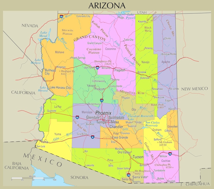 Vector map of arizona united states