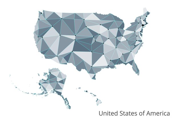 The map of the network of the United States of America Vector lowpoly image of a global map with lights in the form