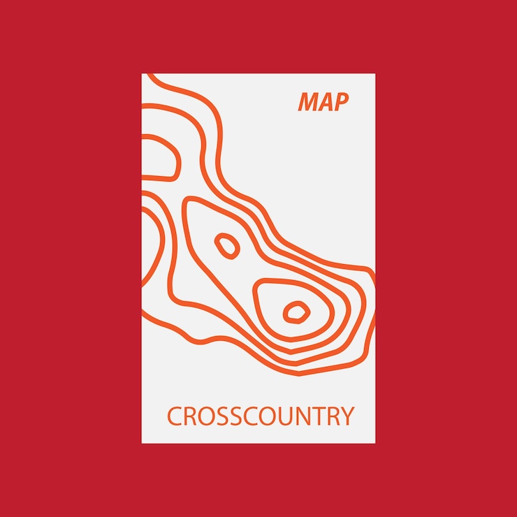 Vector map topography secondary graphic