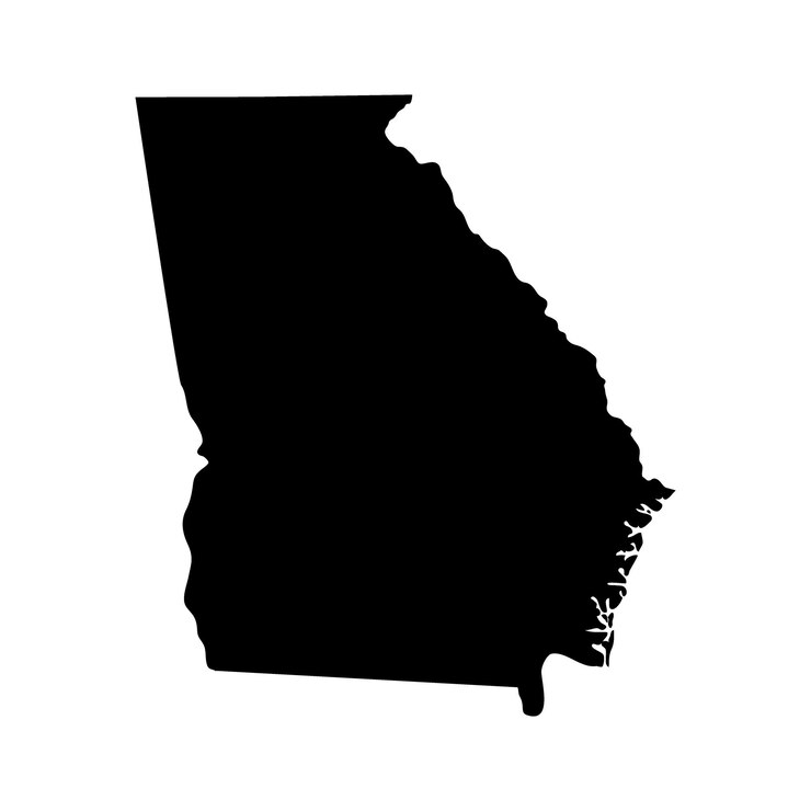 Vector map of the us state of georgia