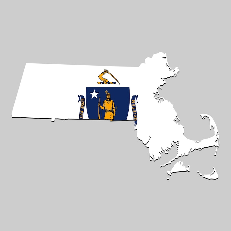 Vector map with national flag vector illustration