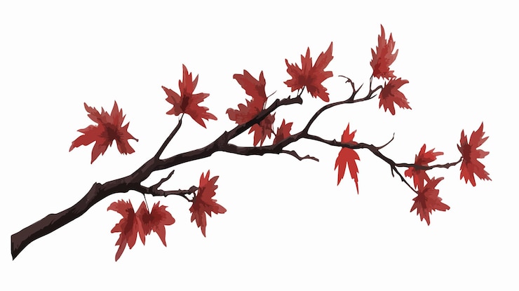 Vector maple branch vector illustration isolated on white background