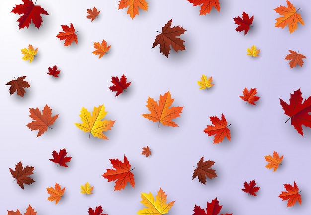 Maple leaf, autumn  background