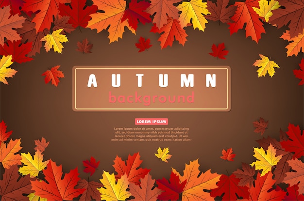 Maple leaf, autumn  background