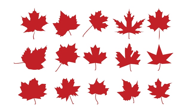 Maple Leaf, Autumn Tree Leafs lijntekeningen, herfstbladeren ambachten Gnome Design, magische Clipart Halloween Tre