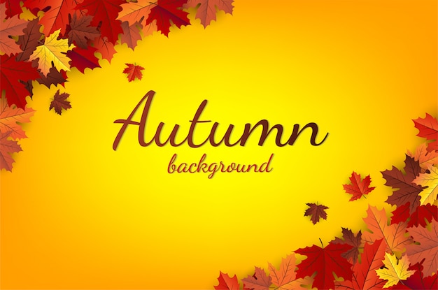 Maple leaf, autumn vector background