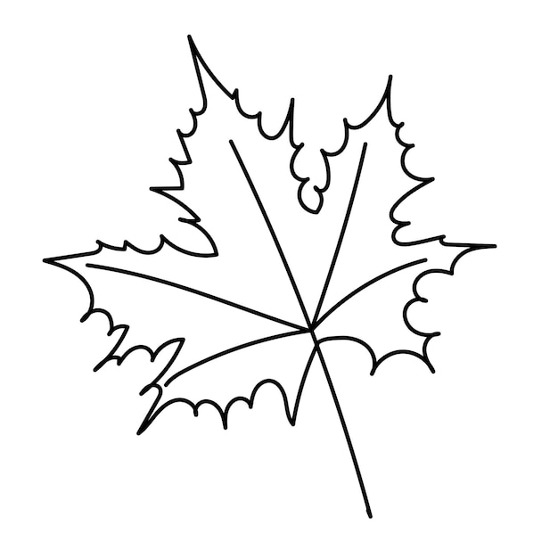 Maple leaf doodle outline sketch on white background