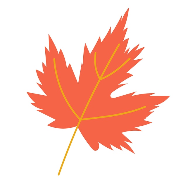 Maple leaf in doodle style isolated vector