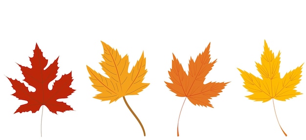 Maple leaf in flat design set isolated vector