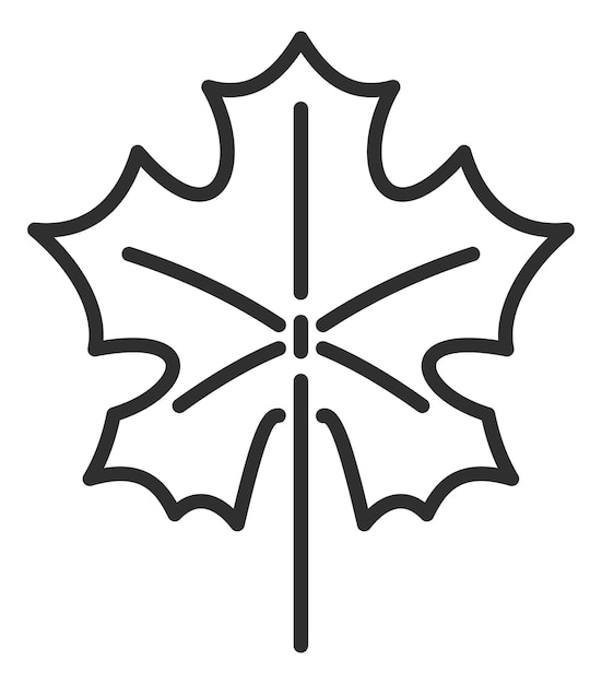 Maple leaf icon Autumn tree black line symbol