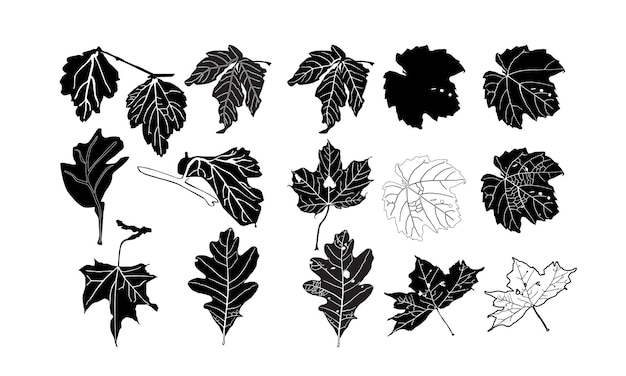Maple Leaf Icon silhouet Canada Maple Leaf Set Maple Leaves unieke ontwerpen Canadese Vecto