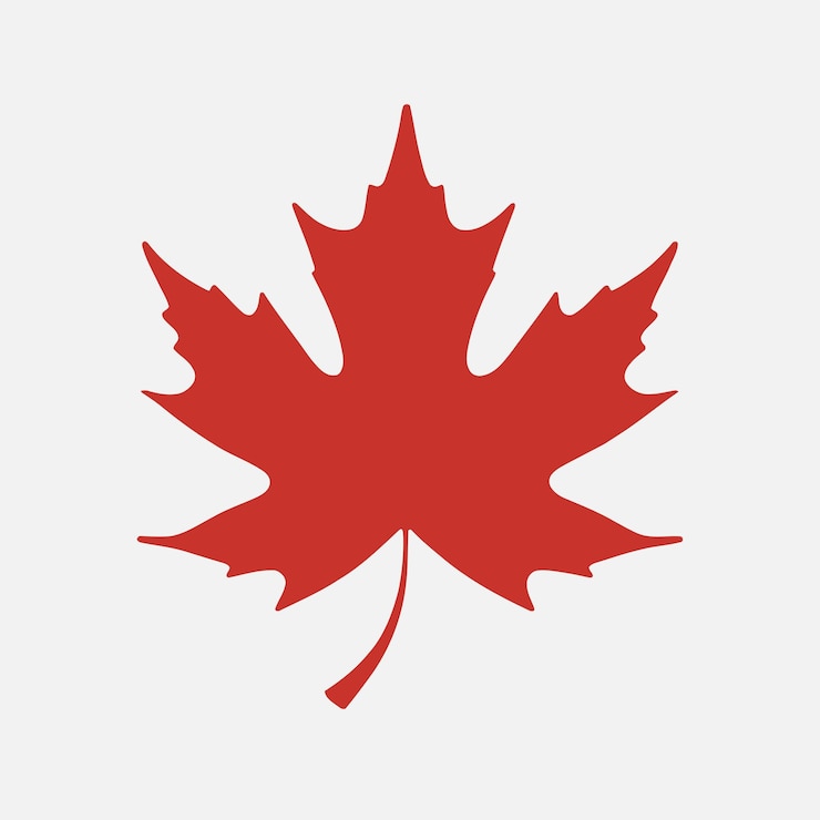 Vector maple leaf icon silhouette geïsoleerd op witte achtergrond vector illustratie