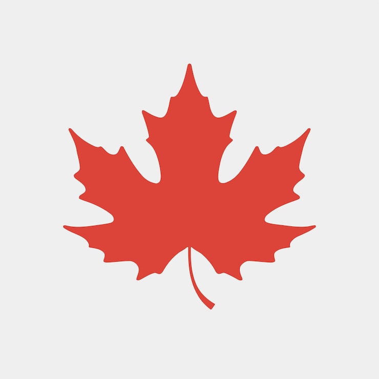 Vector maple leaf icon silhouette geïsoleerd op witte achtergrond vector illustratie