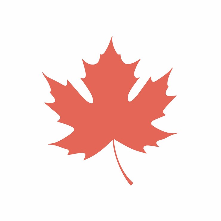 Vector maple leaf icon silhouette geïsoleerd op witte achtergrond vector illustratie