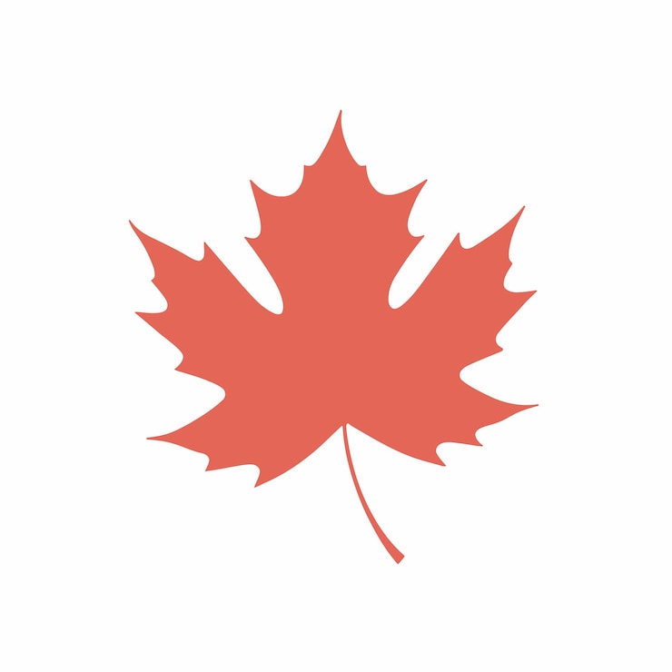 Vector maple leaf icon silhouette isolated on white background vector illustration